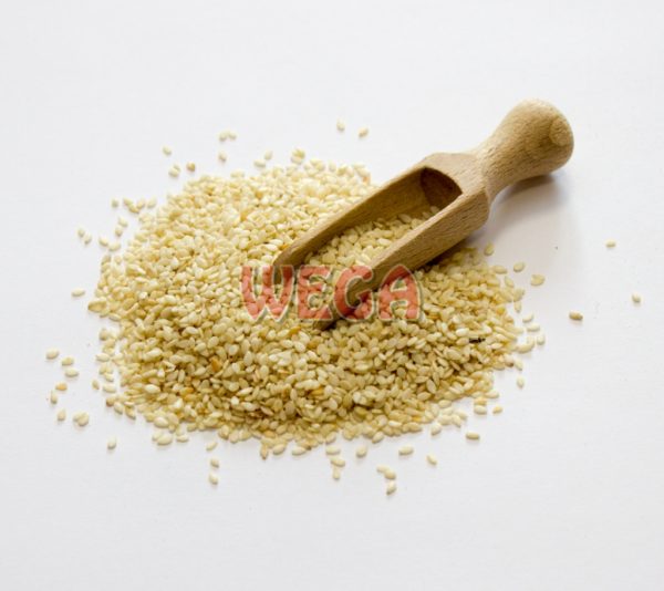 Sezam