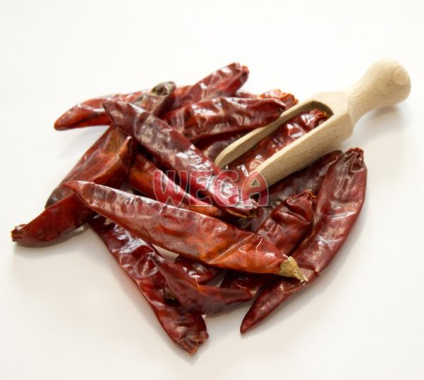 Chilli strąk